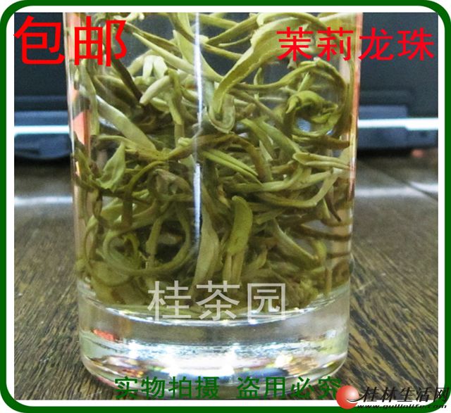 横县特级茉莉龙珠!