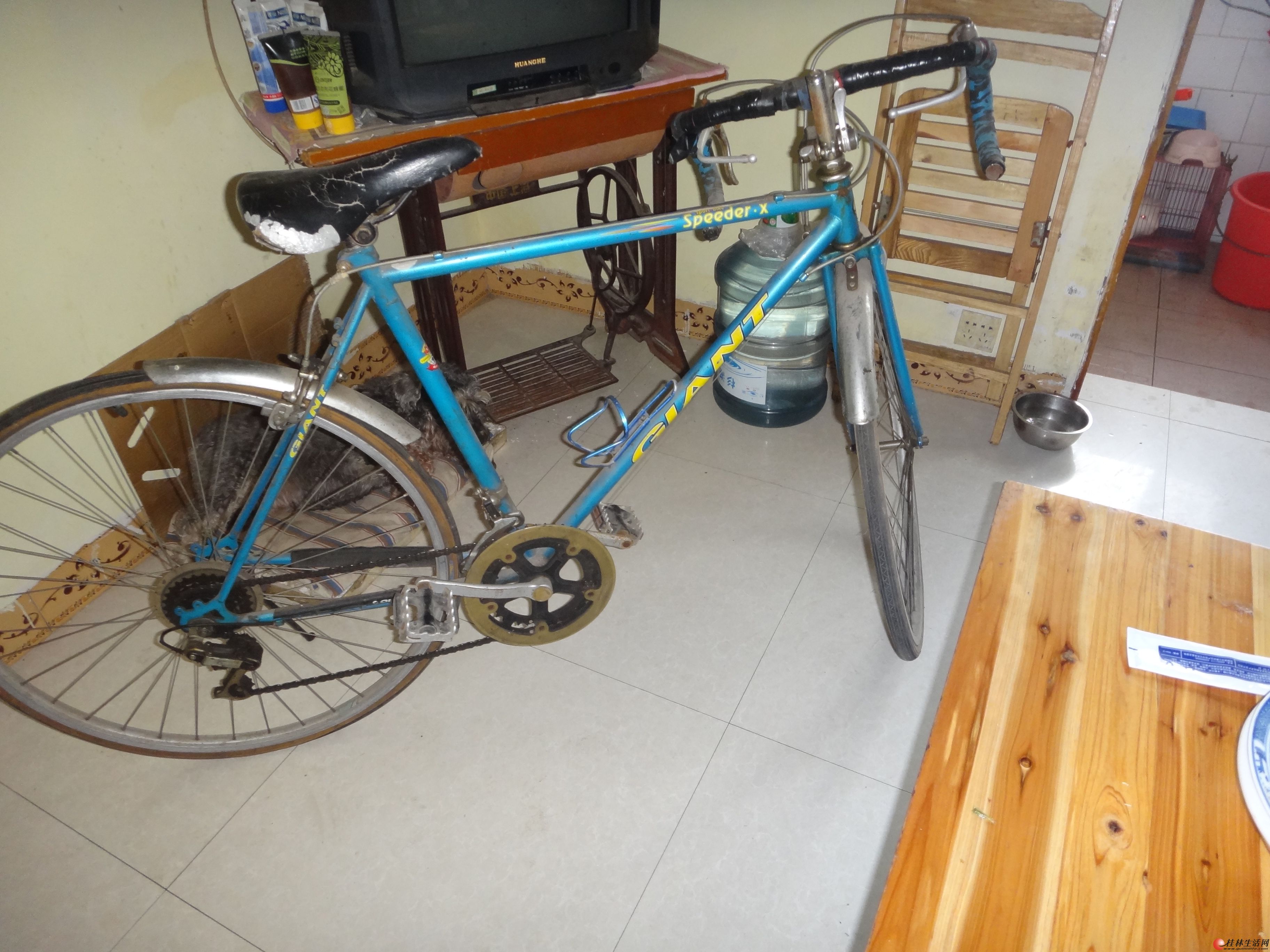 20130320124034827.jpg
