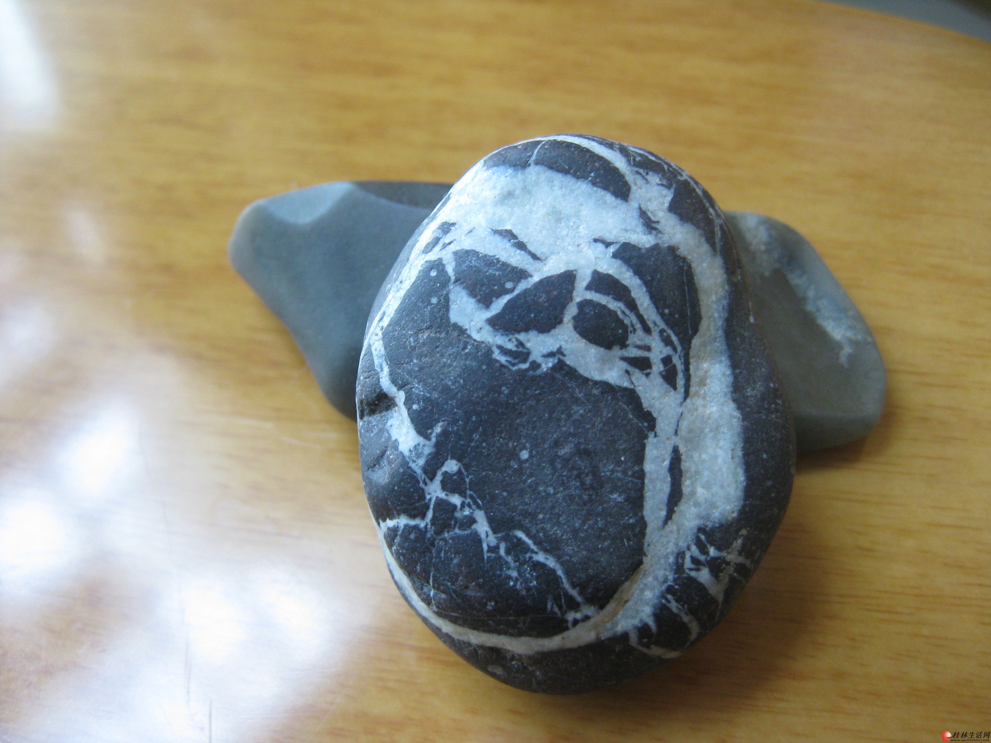 20131006012753499.jpg
