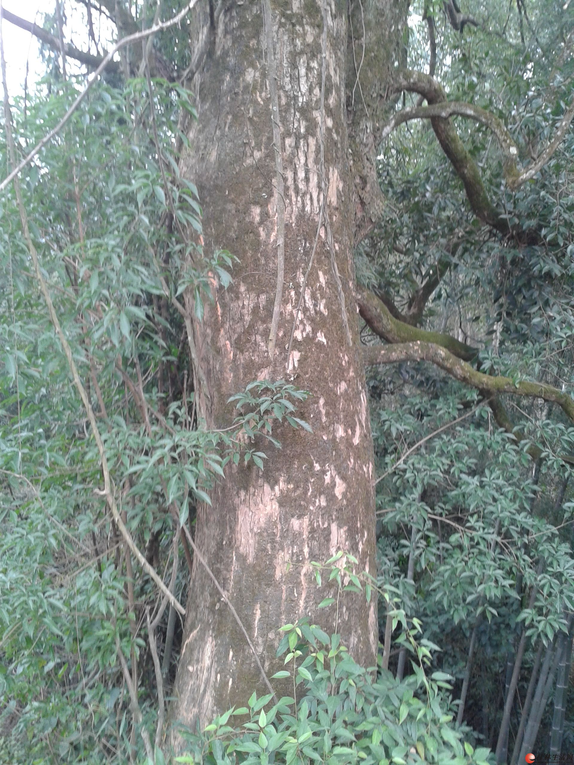20131110102757231.jpg