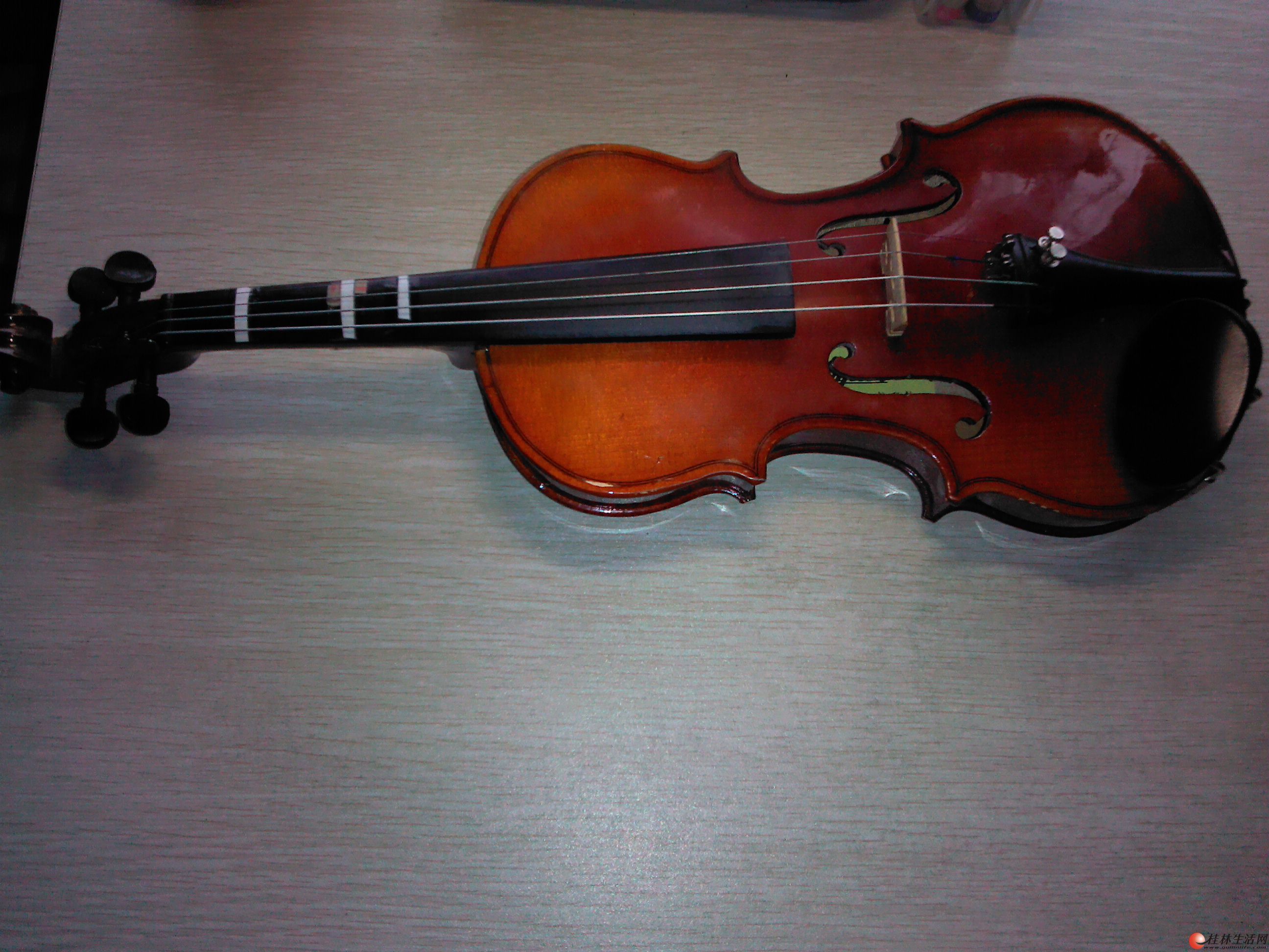 想学小提琴首选红棉牌