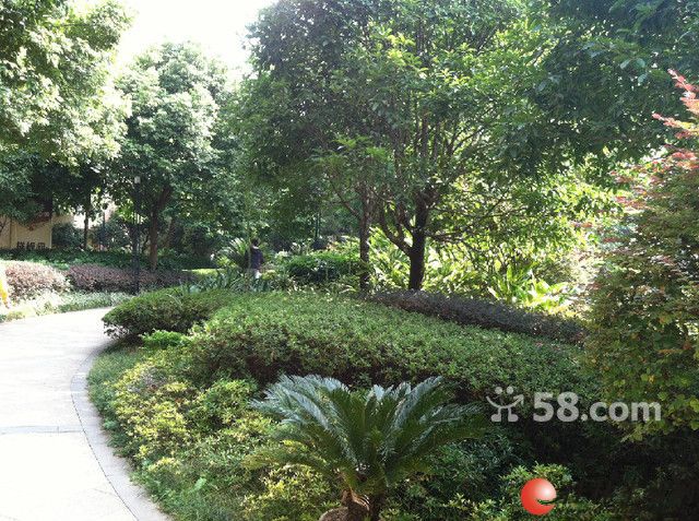 北极广场罗马花园3房150平米房便宜租了,好房