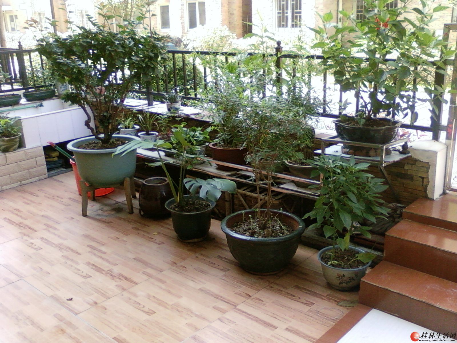 别墅式小别墅房屋出售(带小屋顶)及地下室-桂瓦彩钢泉州复式院子金属图片