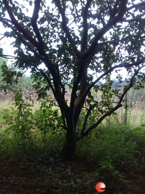 20140929011840189.jpg