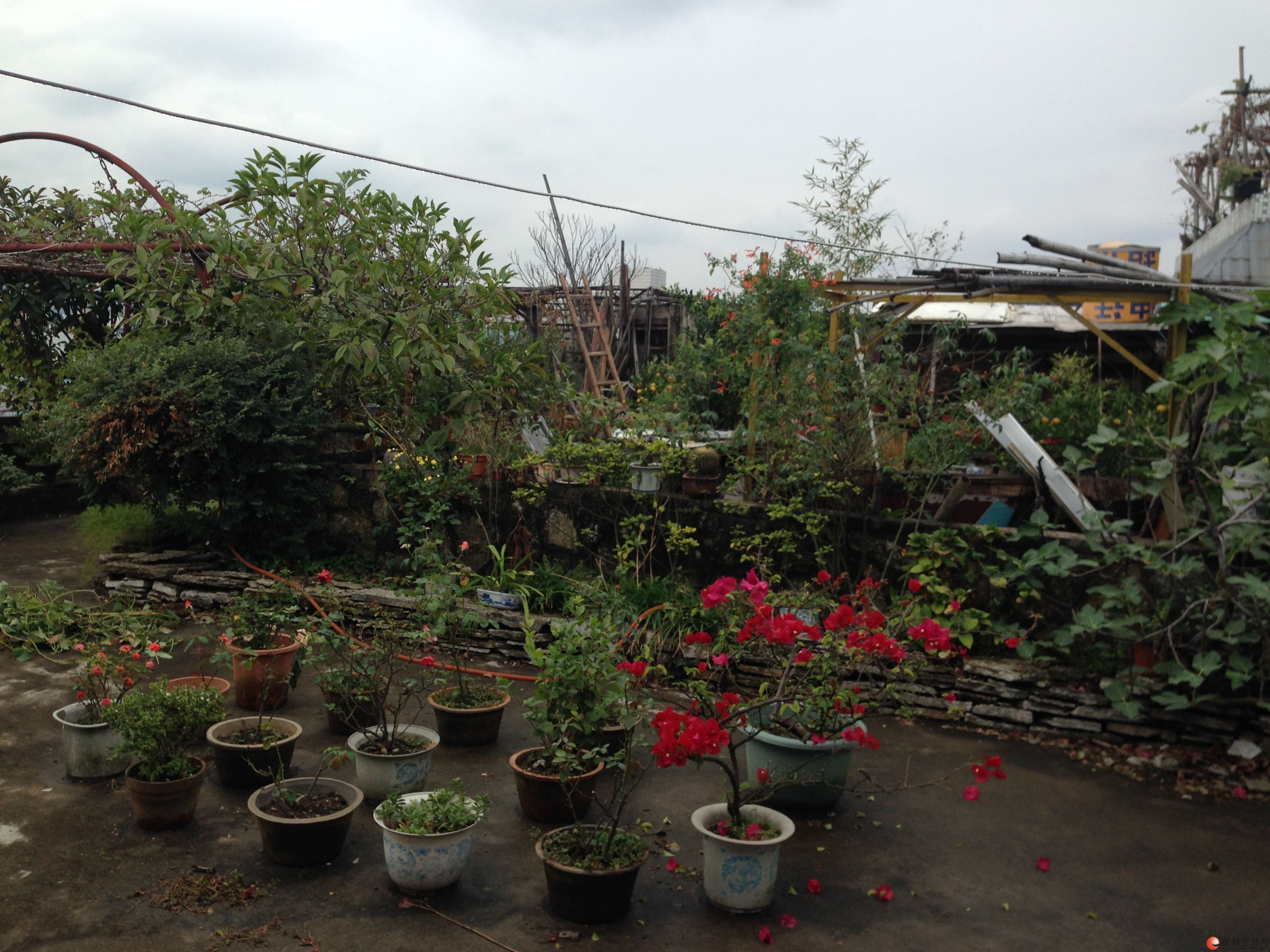 !回民小学学区 大户型 中心区朱紫巷128平米3