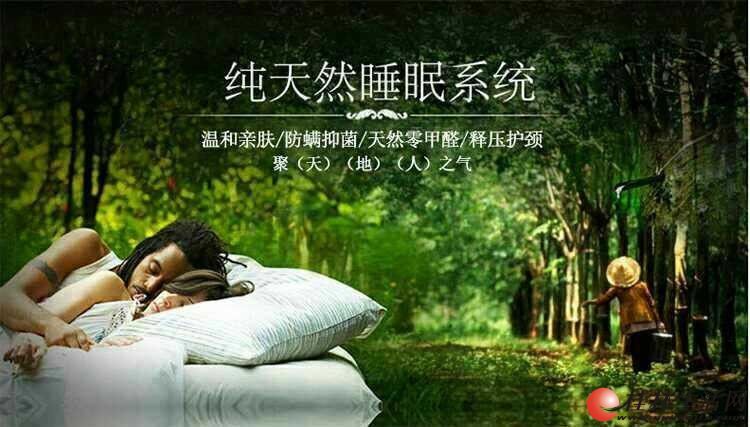 泰国乳胶枕头-娜帕蒂卡 - 生活日用品 - 桂林二手市场