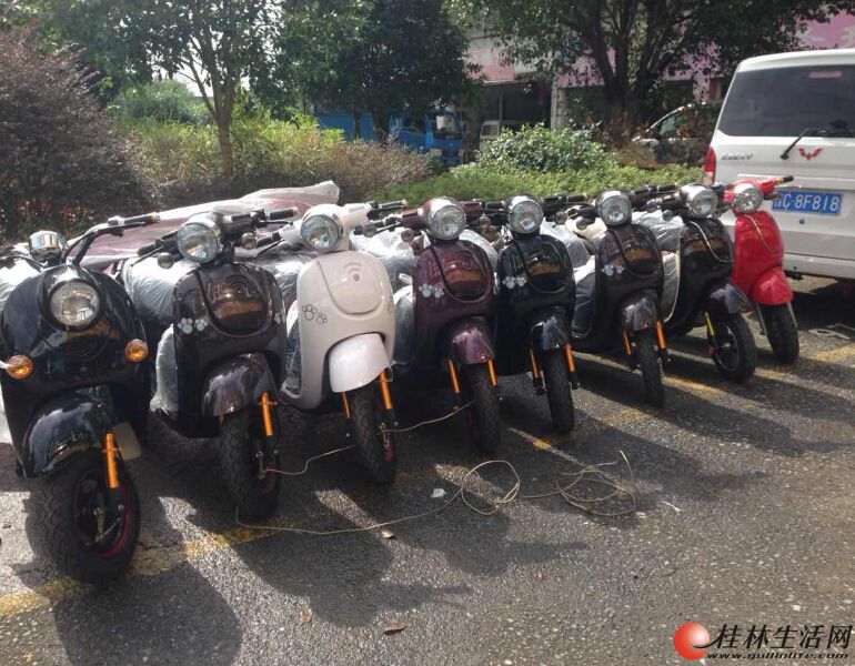 新车开回家,都有正规牌照的 - 桂林二手