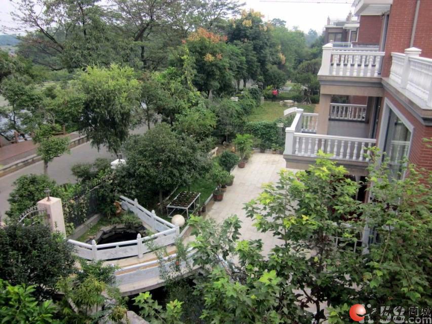 稀缺 漓江边别墅 象山区红街安厦世纪城 5室3厅3卫300
