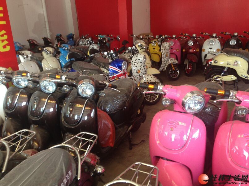 快速桂林代办本地电动车车牌,优良品质。 - 桂