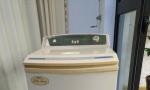 小天鹅XQB30-91洗衣机