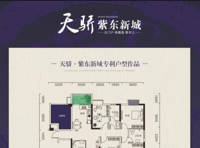 天骄 紫东新城,电梯房,靠白马商贸城,千年桂林对面