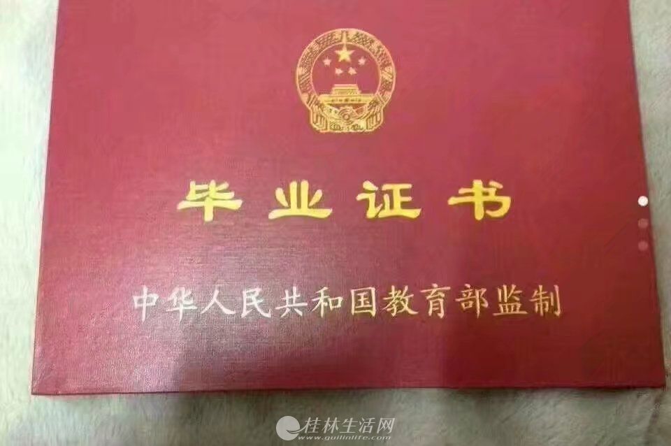 金融学初中参加毕业成人高考作文我爱初中阅读图片