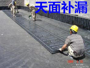 专业做防水补漏电话 20190930085135690.jpg