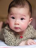 魏子茵