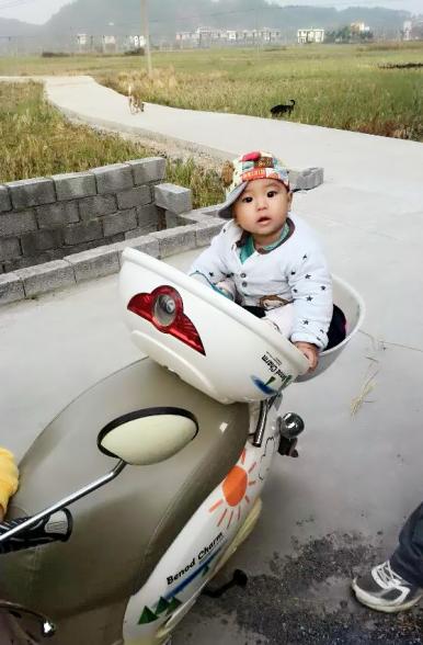 文子豪