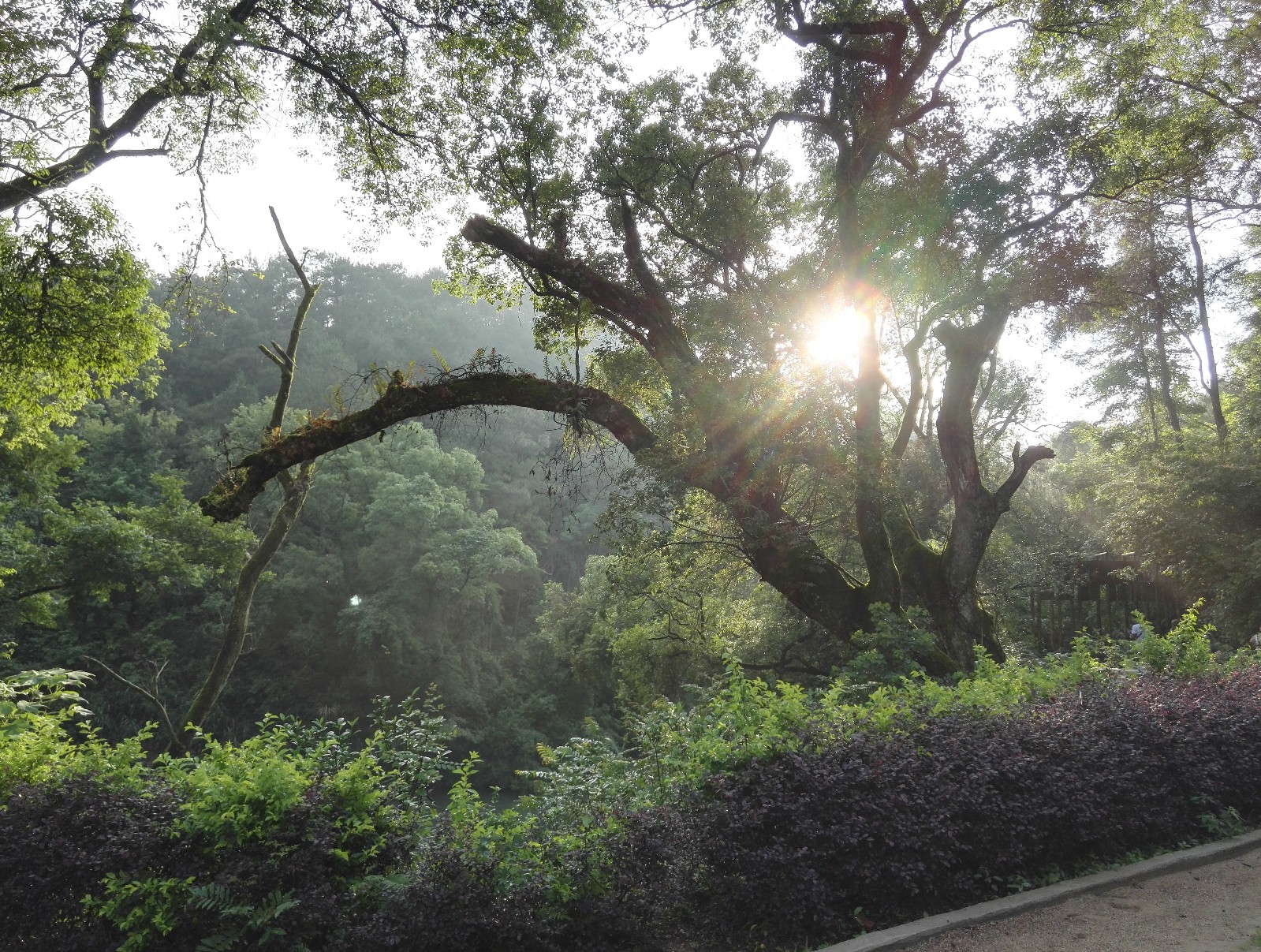 山水逍遥