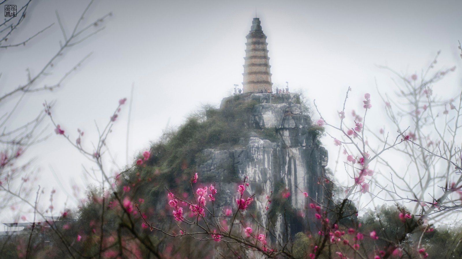 梅花丹青印塔山