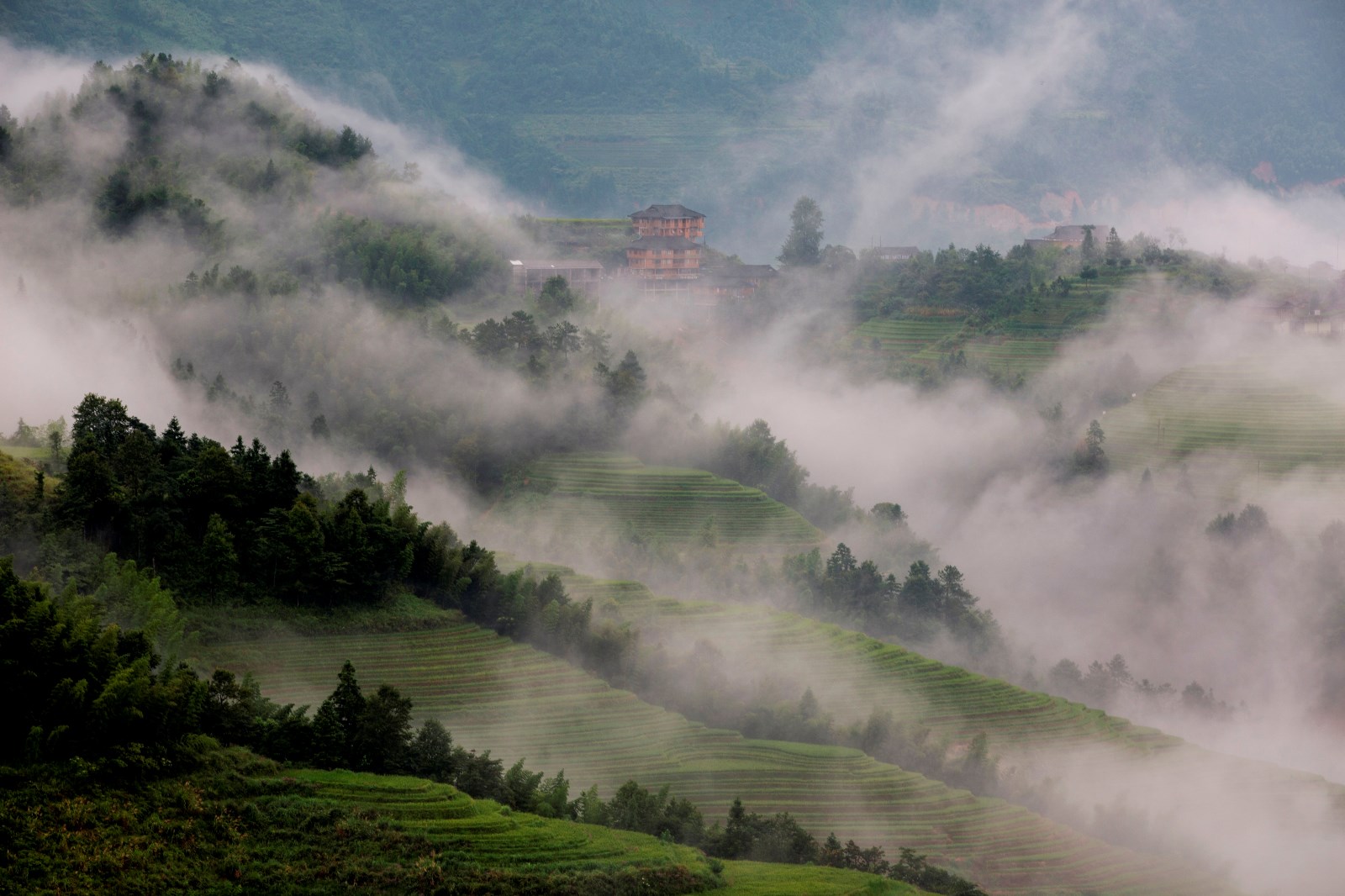 岭上梯田缀满山，一犁烟雨白云间