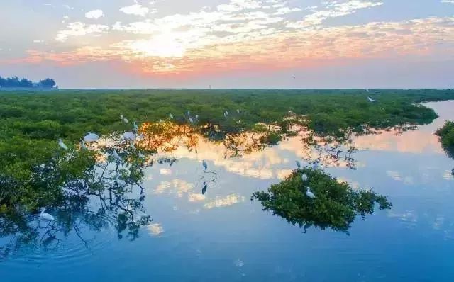 实至名归!桂林会仙喀斯特湿地公园正式成为“国家湿地公园”