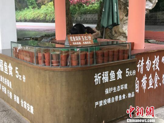 南宁市青秀山风景区内喂鱼点工作人员在售卖鱼饲料。 陈秋霞 摄