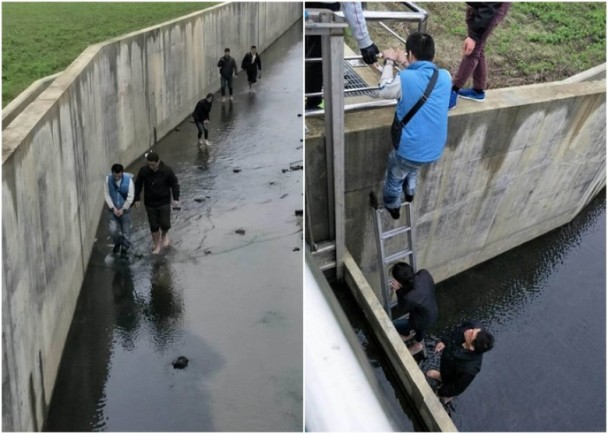 苗栗“宪兵队”于下水道将两人查获。(图片来源:香港东网)