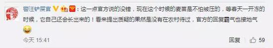 村民将麦田设为停车场,你怎么看?