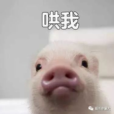 爱炫富的日本第一伪娘居然真去做了变性手术,而且还被曝负债千万!