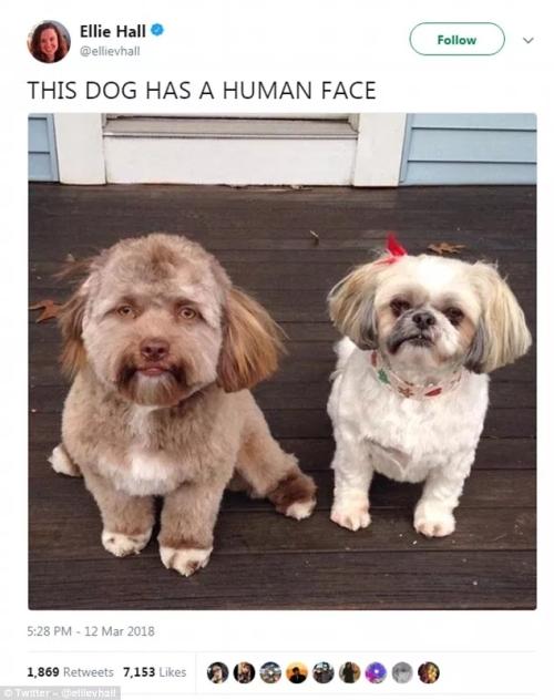 \