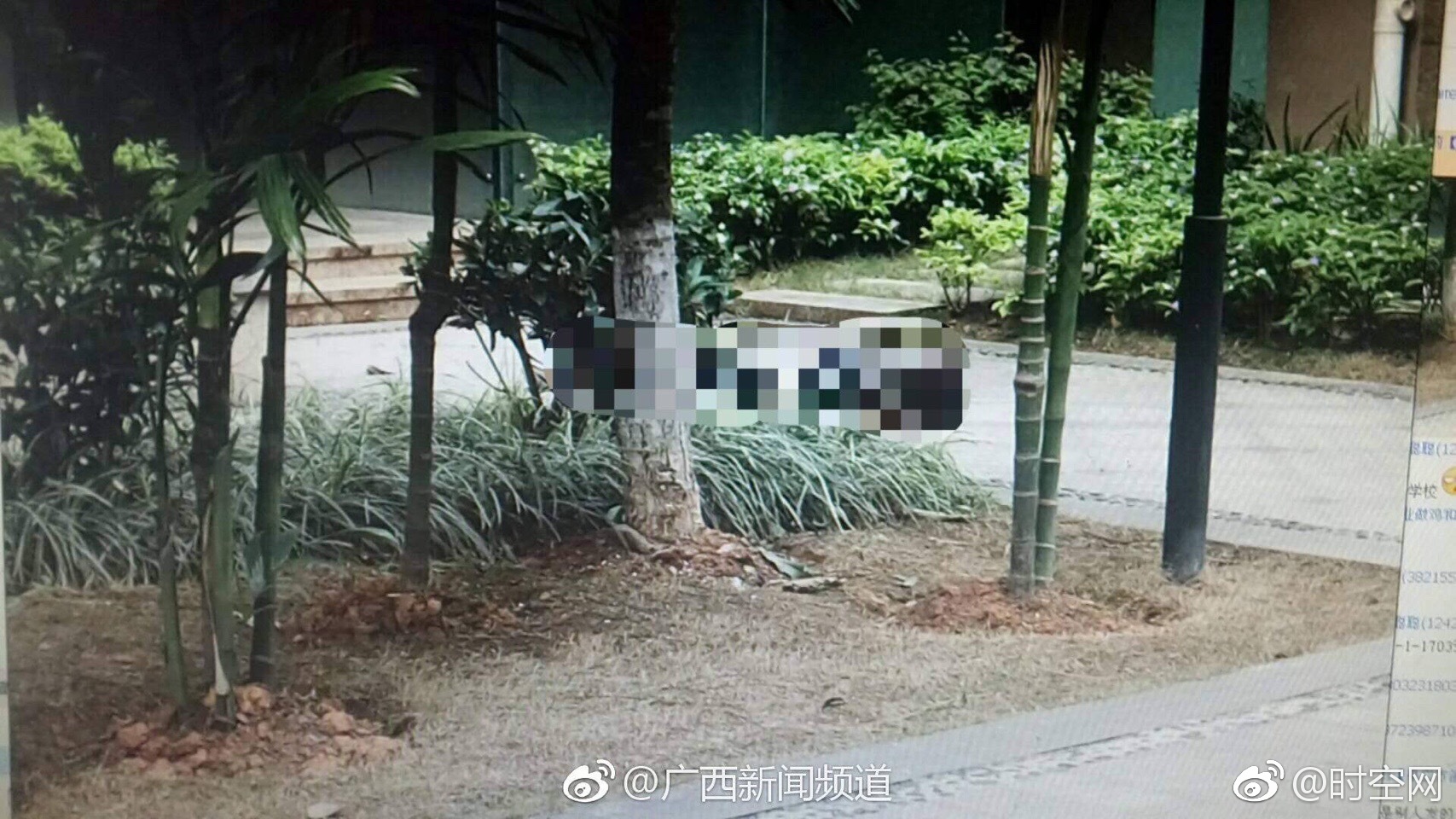 南宁一女子坠楼身亡 原因尚在调查中(图)