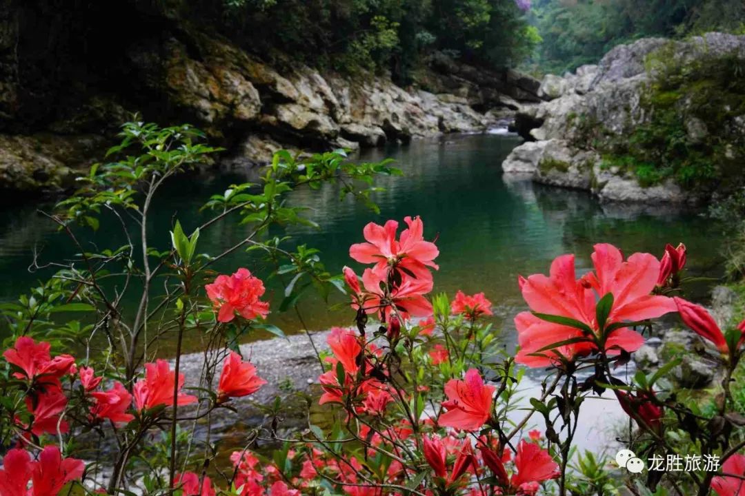 龙胜处处有美景,你可知道这条美得让人窒息的