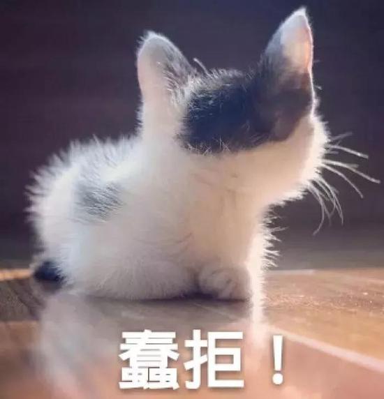 现在,两人都表示非常后悔,