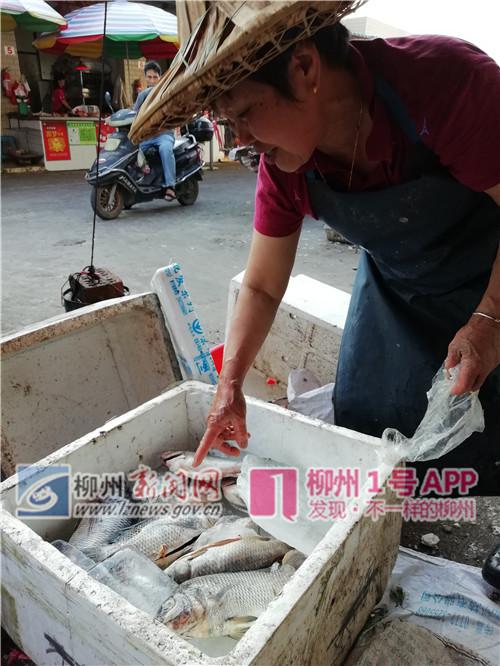 摊主在清理死鱼