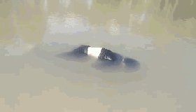 \