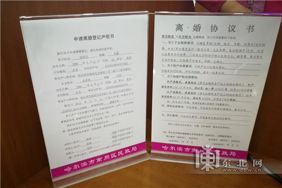 离婚协议样本。东北网记者 包海多 摄