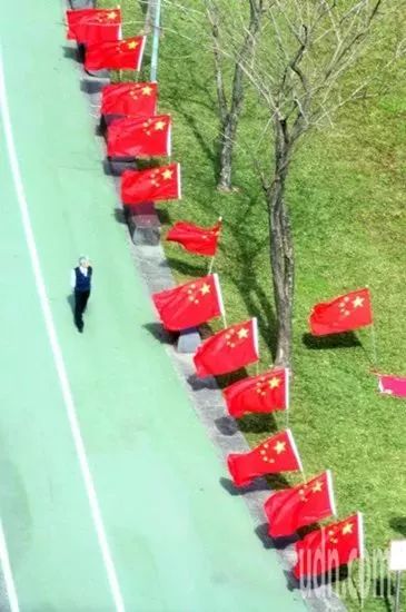 ▲台湾“中华爱国同心会”此前在民进党党部前的公园插满五星红旗。(图片来源:台湾联合新闻网)