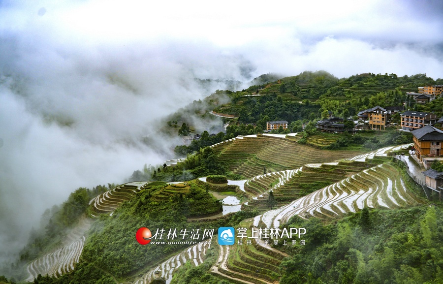 6月4日,在龙胜各族自治县龙脊镇大寨村田头寨组拍摄的梯田景观.