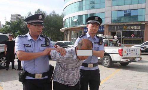 公安机关抓获犯罪嫌疑人李某某。