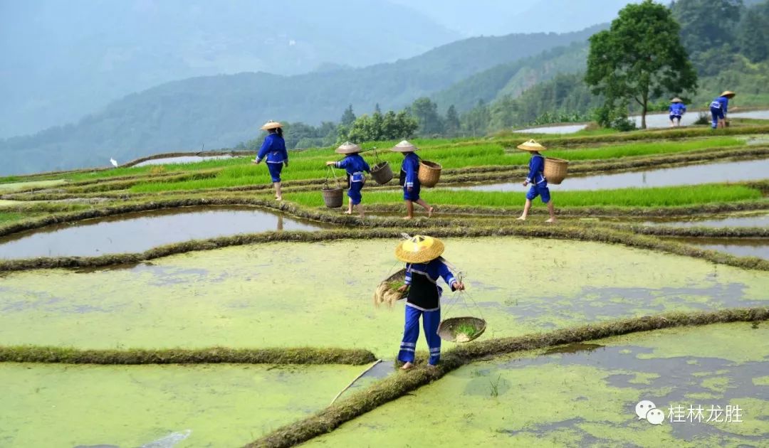 龙胜:苗族同胞
