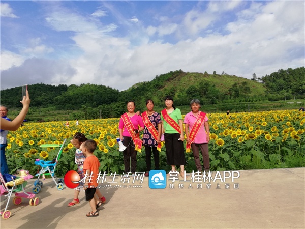 灌阳县新圩镇:向阳花开美如画,志愿服务更添彩