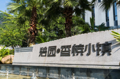 香槟镇人口_香槟玫瑰图片(3)