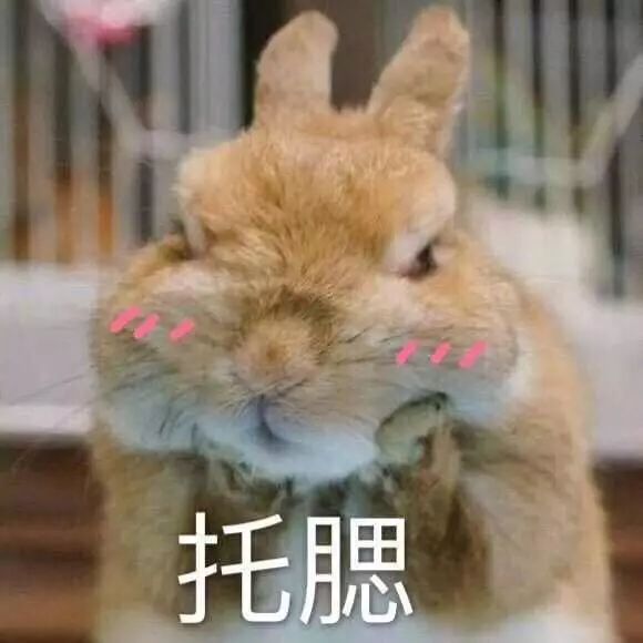 虽然不是每个人都像发哥,但翟天临对网友摆脸色真的好吗?
