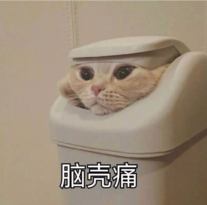 虽然不是每个人都像发哥,但翟天临对网友摆脸色真的好吗?