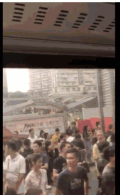 t0147aefbfb9dd0444f.gif?size=169x273