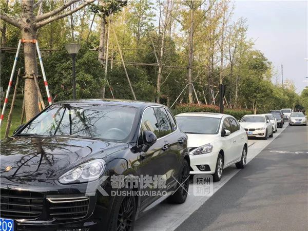 杭州网红花海被毁坏:辛辛苦苦种3年 毁坏只需3天