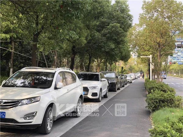 杭州网红花海被毁坏:辛辛苦苦种3年 毁坏只需3天