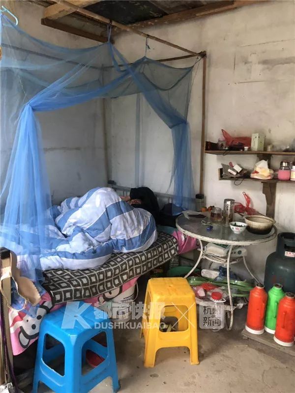 杭州网红花海被毁坏:辛辛苦苦种3年 毁坏只需3天