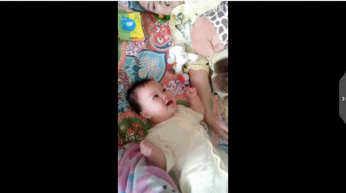 t015c12d86a5a99c1ee.gif?size=690x386