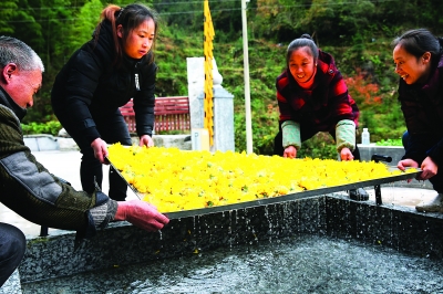 资源梅溪镇人口_梅溪镇 浙江省湖州市安吉县梅溪镇