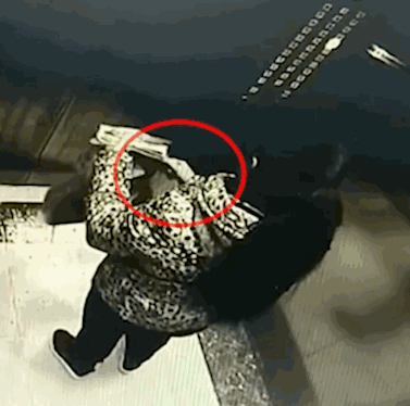t01972628171d0744d0.gif?size=377x374
