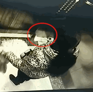 t01e6e96e043154f024.gif?size=377x374